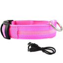 Illuminated Dog Collars: Enhanced Pet Safety & Visibility Solution  ourlum.com Pink usb charging XS neck 28-40cm 