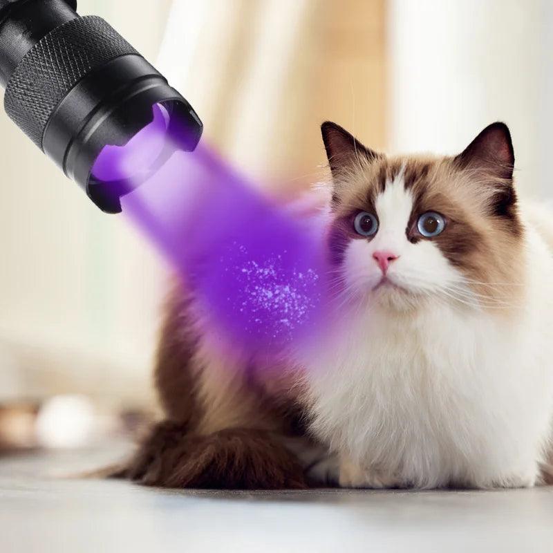 UV Blacklight Flashlight Detector for Pet Urine Stains and Bed Bugs  ourlum.com   