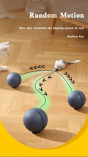 Kimpets Cat Toys Mouse Teaser Ball Fun Moving Toy for Pets