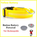 LED Light Up Dog Collar: Customizable Night Safety, Waterproof, Multiple Flash Modes  ourlum.com Yellow ButtonBattery XS Neck 28-38 CM United State