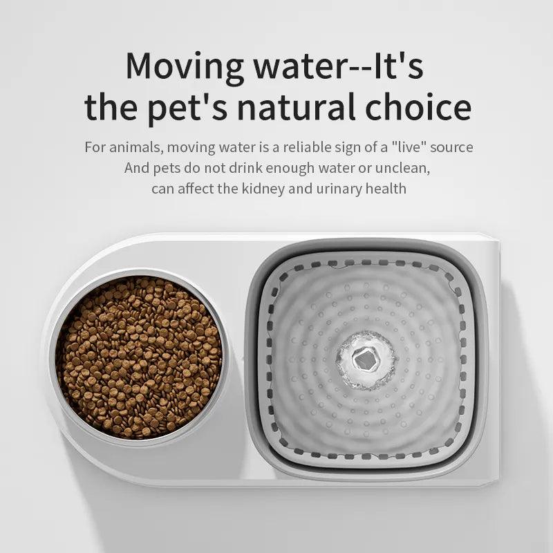 Cat Water Fountain with Automatic Feeding Bowl - Fresh Water Dispenser  ourlum.com   