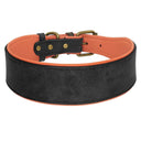 Personalized Leather Dog Collar: Free Print Name - Wide Padded Pet ID for Medium Large Dogs  ourlum.com Blank BLRE XL 