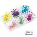 12/18Pcs/box 3D Dried Flowers Nail Art Decorations Dry Floral Bloom Stickers DIY Manicure Charms Designs For Nails Accessories  ourlum.com SSDF13  