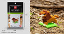 Wisehawk Diamond Mini Building Blocks - 3D Animal Collection for Creative Play  ourlum.com B7  