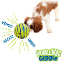 Wobble Wag Giggle Glow Ball Night-Time Dog Toy Fun