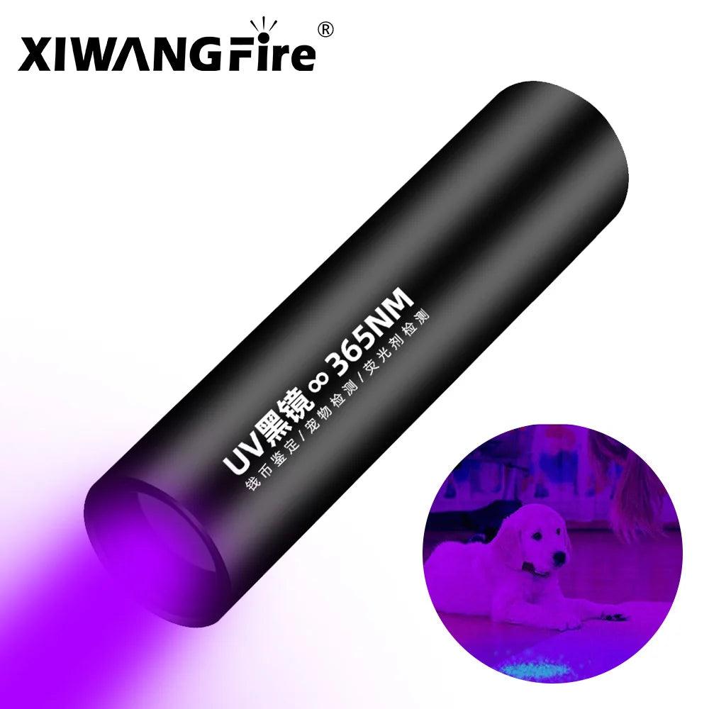 UV Pet Stain Detector & Mold Finder Flashlight: Small, Versatile, Rechargeable  ourlum.com   