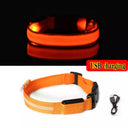 LED Dog Collar Light: High Visibility Anti-lost Night Safety Pet Accessory  ourlum.com Orange USB charging XS 