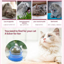 Catnip Wall Ball Cat Toy for Cats Clean Mouth Entertain Kittens