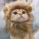 Cute Lion Mane Wig Hat for Small Dogs and Cats Decor