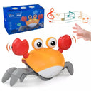 Escape Crab Octopus Crawling Toy: Fun Electronic Pets for Kids - Educational Musical Toddler Moving Toy - Christmas Gift  ourlum.com D with box  