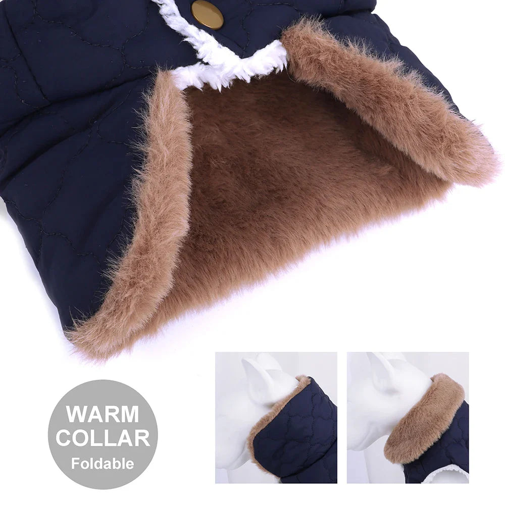 Winter Waterproof Pet Jacket with Fur Collar: Cozy, Stylish, Small Dog Clothing  ourlum.com   