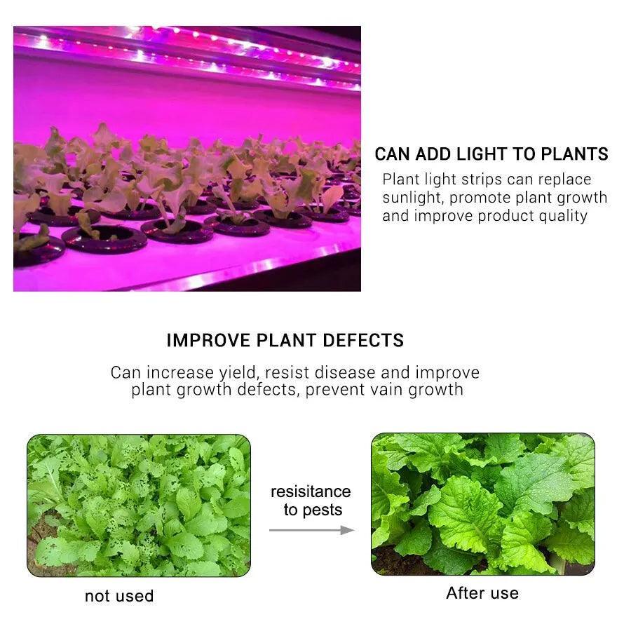 GrowPro LED Plant Light Strip - Full Spectrum 5V USB Powered 1-5m Waterproof Chip for Greenhouse Flower Seedling Tent Growth Hydroponics  ourlum.com   