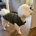 Pet Winter Jacket: Cozy Dog Coat for French Bulldog Chihuahua Pug Yorkie  ourlum.com   