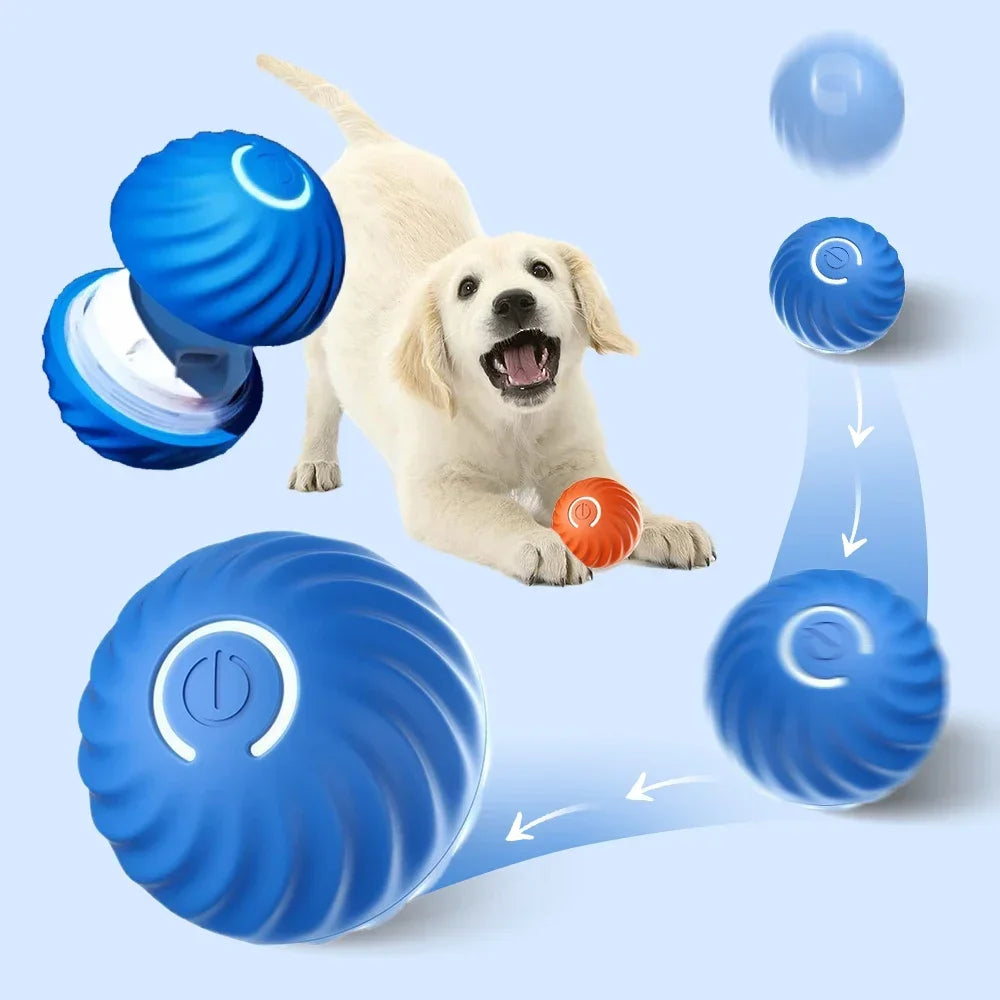 Interactive Smart Dog Toy Ball: Engaging USB Moving Bouncing Pet Fun  ourlum.com   
