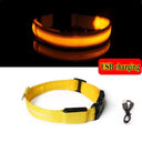 LED Dog Collar Light: High Visibility Anti-lost Night Safety Pet Accessory  ourlum.com Yellow USB charging XS 