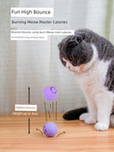 Electric Cat Toy Smart Jumping Ball USB Charging Bounce