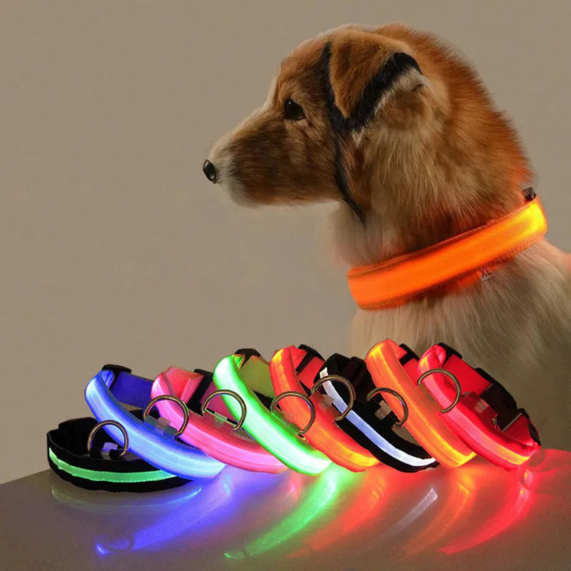 LED Dog Collar Light: High Visibility Anti-lost Night Safety Pet Accessory  ourlum.com   