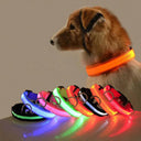 LED Dog Collar Light: High Visibility Anti-lost Night Safety Pet Accessory  ourlum.com   