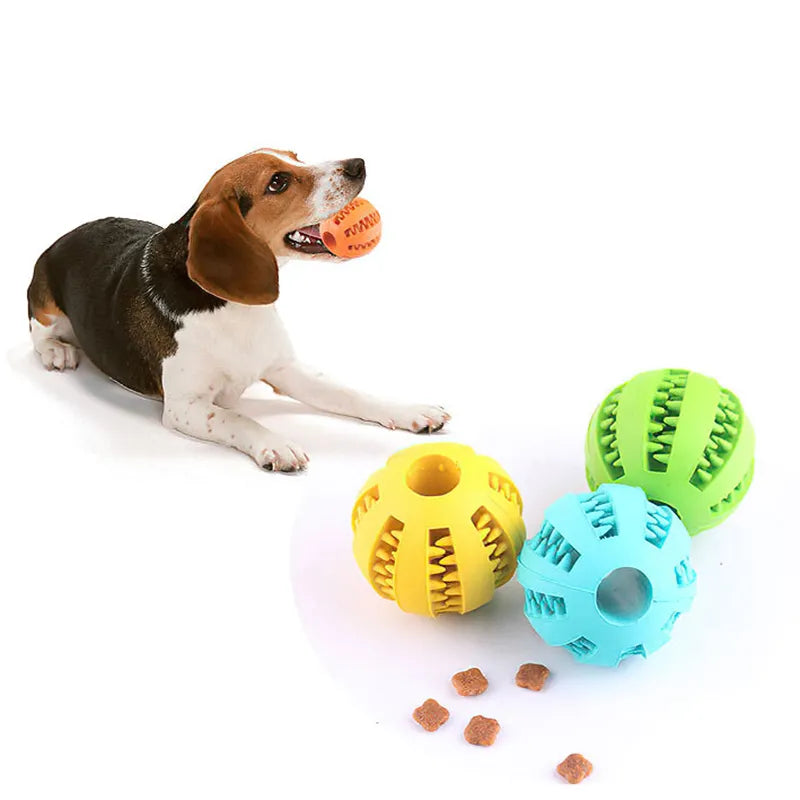 Dog Chew Toy Set: Rubber Teeth Cleaning Interactive Pet Ball Toy  ourlum   