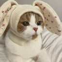 Cute Rabbit Ears Pet Knitted Hat for Autumn Winter Warm