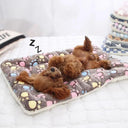 Winter Cozy Pet Bed Thick Flannel Mat for Dogs Cats