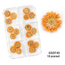 12/18Pcs/box 3D Dried Flowers Nail Art Decorations Dry Floral Bloom Stickers DIY Manicure Charms Designs For Nails Accessories  ourlum.com SSDF40  