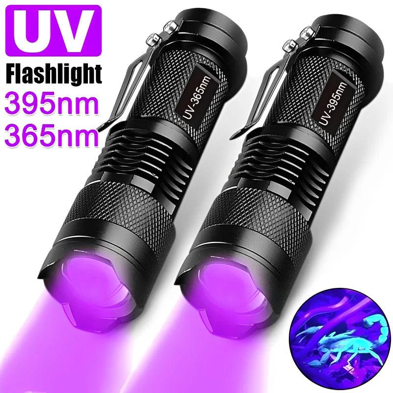 UV Mini Black Light Flashlight for Pet Urine Detection  ourlum.com   