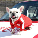 Winter Baseball Dog Jacket for Small Medium Dogs - Stylish and Warm Pet Hoodie  ourlum.com   