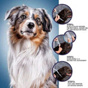 Anti-Flea Collar for Dogs and Cats: Long-Lasting Protection and Water-Resistant  ourlum.com   