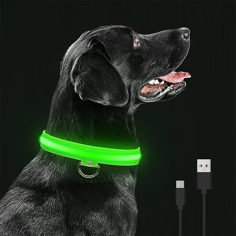 LED Glowing Dog Safety Collar: Visibility, Water-resistant, Rechargeable