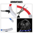 Night Glow LED Dog Collar: High Visibility Pet Safety Light  ourlum.com   