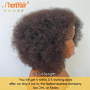 Afro Curly 360 Lace Frontal Wig 250% Density Glueless Hair