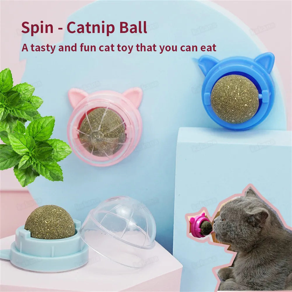 Catnip Wall Ball Cat Toy for Cats - Clean Mouth, Entertain Kittens, Promote Digestion  ourlum   