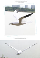 1pc Simulated Feather Seagulls Bird Figurines for Home Decor