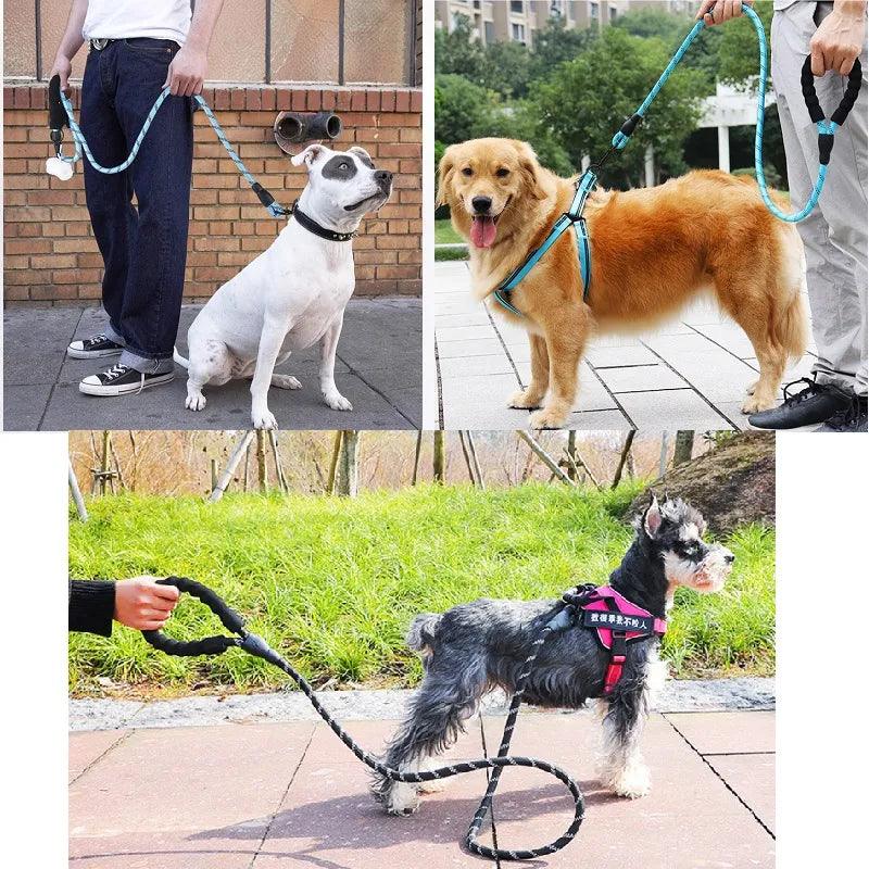 Strong Reflective Dog Leash for Small to Large Breeds: Durable, Adjustable, All Seasons  ourlum.com   