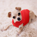 Cozy Fleece Small Pet Vest for Dogs and Cats - Spring and Summer Apparel for Chihuahuas, French Bulldogs, Pugs  ourlum.com   