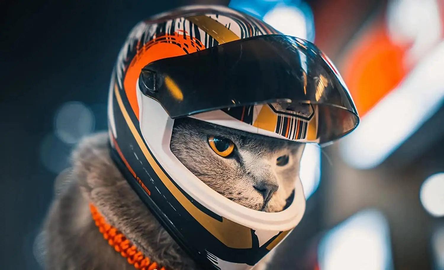 Pet Motorcycle Helmet: Stylish Outdoor Safety Gear for Small Pets  ourlum.com   