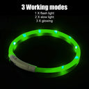 Night Glow LED Dog Collar: High Visibility Pet Safety Light  ourlum.com   