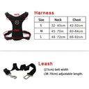 Breathable Mesh Dog Harness Set with Car Safety Belt | Adjustable Straps & Chest Strap for Pet Safety  ourlum.com   