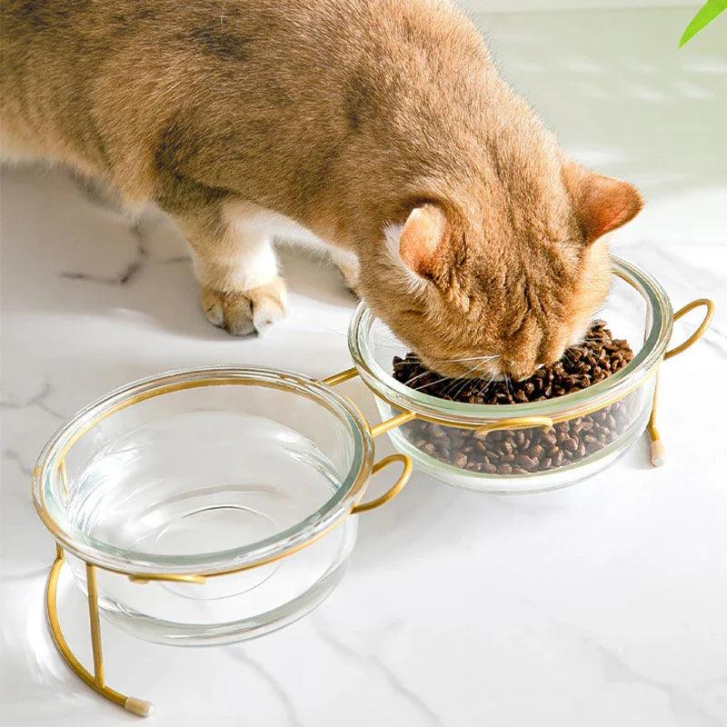 Elevated Glass Cat Bowls with Stand: Stylish Feeding Solution  ourlum.com   