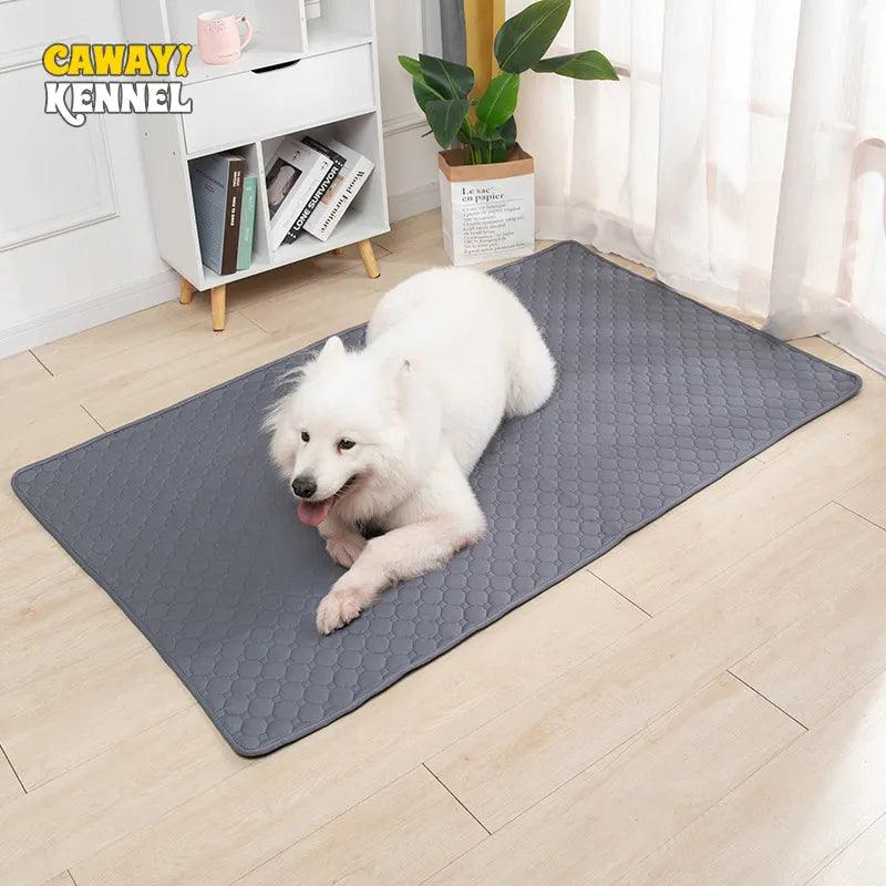 Waterproof Reusable Pet Diaper Mat: Comfortable, Durable, Easy to Clean  ourlum.com   