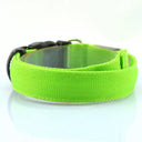 LED Glow Safety Dog Collar: Adjustable Flashing Necklace for Dogs and Cats  ourlum.com Green XS Neck 28-38cm 