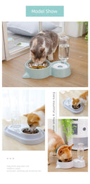 Automatic Water Dispenser Feeding Teddy Mouth Wet-Proof Cat