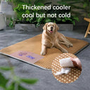 New Pet Spring Summer Cool Mat Universal Dog Cat Supplies