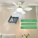 Modern Ceiling Fanlight 30W Low Profile Fans for Home