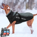 Winter Dog Coat with Harness & Furry Collar for Big Breeds - Keep Your Pet Warm & Stylish  ourlum.com   