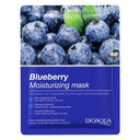 Skin Care Natural Fruit Plant Facial Mask Moisturizing Oil-Control Blueberry Cucumber Pomegranate Fruit Aloe Sheet Face Mask  ourlum.com blueberry  