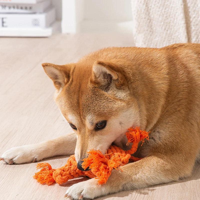 Cotton Rope Carrot Shape Dog Chew Toy for Teeth Cleaning & Fun Outdoor Training  ourlum.com   