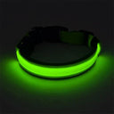 LED Glow Safety Dog Collar: Adjustable Flashing Necklace for Dogs and Cats  ourlum.com   