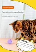 Electric Cat Toy Smart Jumping Ball USB Charging Bounce